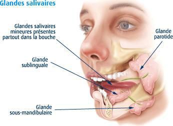 Chirurgie des glandes salivaires