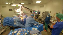 microchirurgie