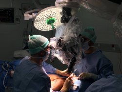 microchirurgie